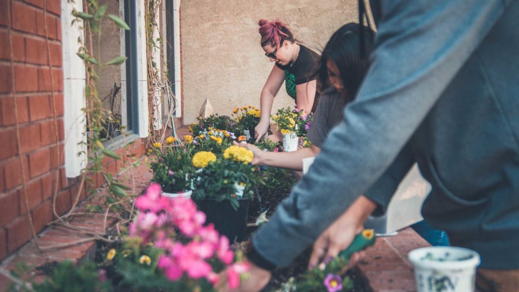 Let's-Talk-About-September-Gardening-Tips-&-Tricks-on-servicetrending