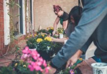 Let's-Talk-About-September-Gardening-Tips-&-Tricks-on-servicetrending