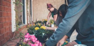 Let's-Talk-About-September-Gardening-Tips-&-Tricks-on-servicetrending